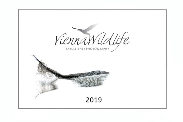 Vienna Wildlife Kalender 2019