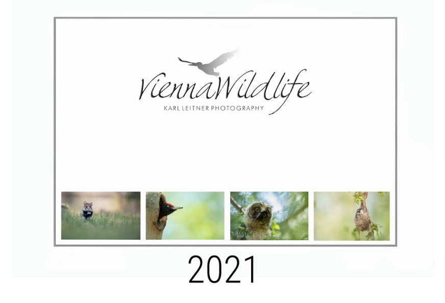 Kalender Vienna Wildlife