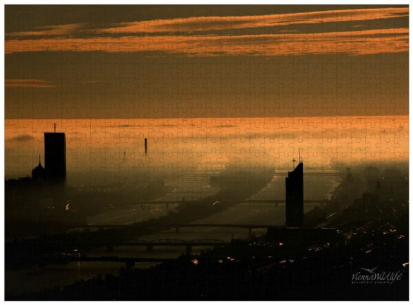 Fotopuzzle Wien am Abend