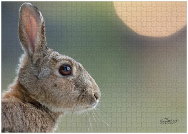 Fotopuzzle Wildkaninchen