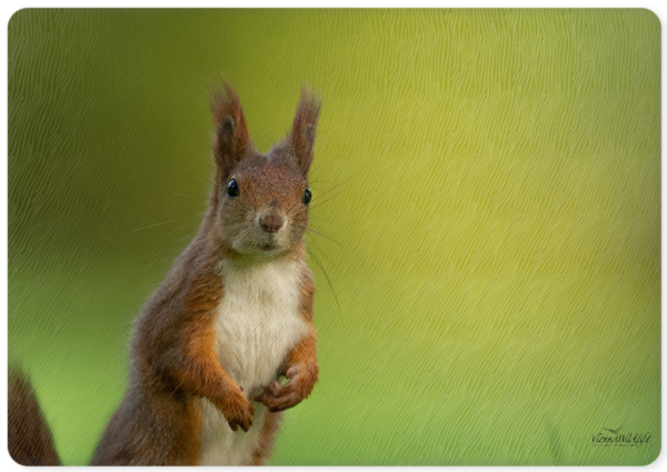 Vienna Wildlife Glas-Schneidebrett