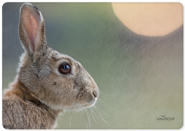 Vienna Wildlife Glas-Schneidebrett