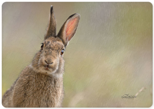 Vienna Wildlife Glas-Schneidebrett