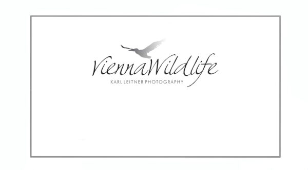 Vienna Wildlife Kalender 2023
