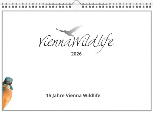 Vienna Wildlife Kalender 2026